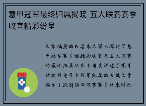 意甲冠军最终归属揭晓 五大联赛赛季收官精彩纷呈
